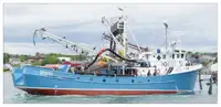 Kapal pukat lilit untuk dijual
