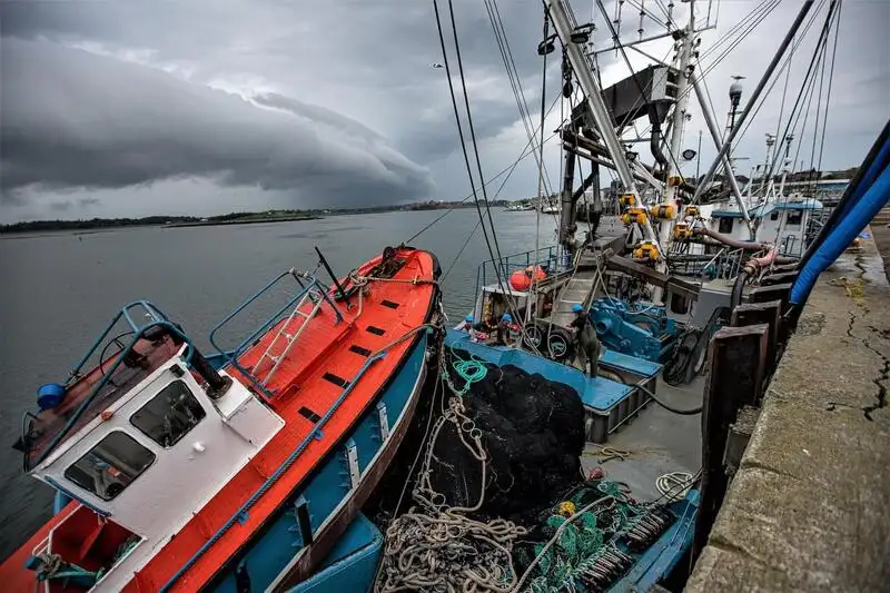 Kapal pukat lilit untuk dijual