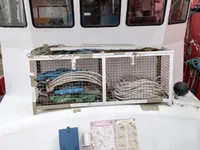 Kapal tinjauan untuk dijual