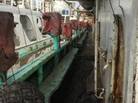 Kapal pencari sotong untuk dijual