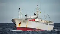 Kapal pukat untuk dijual