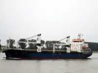 Pembawa pukal untuk jualan