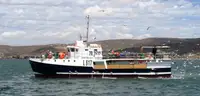 Purse seiner untuk jualan