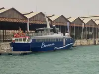 Kapal pelayaran untuk dijual