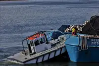 Kapal pukat lilit untuk dijual