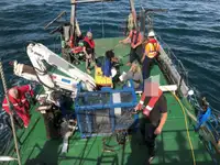Kapal kerja untuk dijual