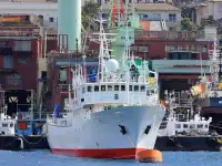 Kapal rondaan untuk dijual