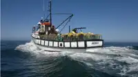 Trawler untuk jualan