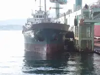 Pembawa pukal untuk jualan