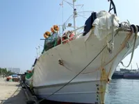 Kapal pencari sotong untuk dijual