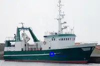 Kapal pukat untuk dijual