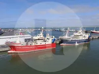 Kapal memancing untuk dijual