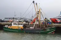 Trawler untuk jualan