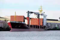 Pembawa pukal untuk jualan