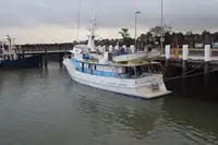 Kapal cutter untuk dijual