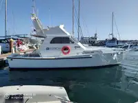 Kapal tinjauan untuk jualan
