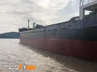 Pembawa pukal untuk jualan