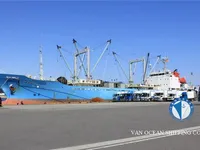 Kapal reefer untuk jualan