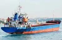Pembawa pukal untuk jualan