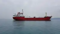 Pembawa pukal untuk jualan