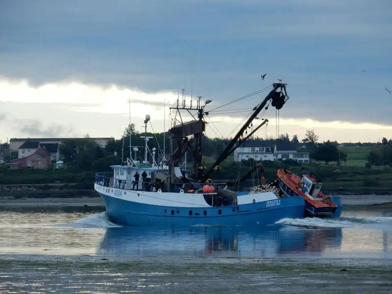 Kapal pukat lilit untuk dijual