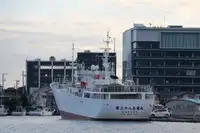 Kapal pukat untuk dijual