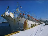 Kapal pencari sotong untuk dijual