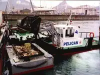 Tongkang untuk jualan