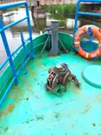 Kapal kerja untuk dijual