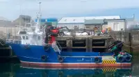 Kapal kerja untuk dijual