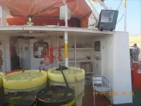 Kapal anak kapal untuk dijual