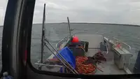 Kapal pendaratan, tangki untuk dijual