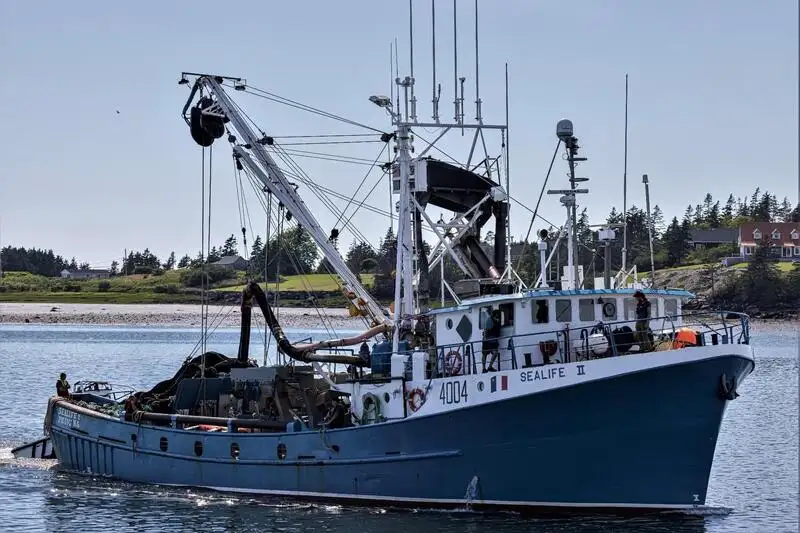 Kapal pukat lilit untuk dijual