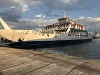 Ro-Ro ship untuk jualan