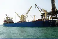 Pembawa pukal untuk jualan