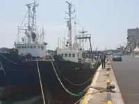 Kapal pukat untuk dijual