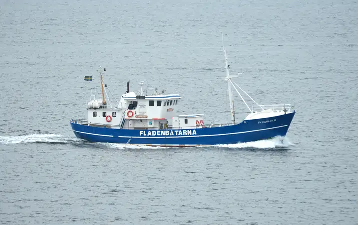 Kapal pukat untuk dijual