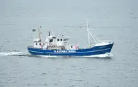 Kapal pukat untuk dijual