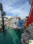 Kapal tunda untuk dijual