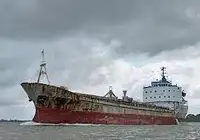 Pembawa pukal untuk jualan