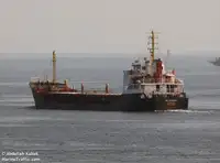 Pembawa pukal untuk jualan