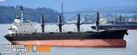 Kapal pengangkut pukal untuk dijual