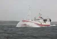 Trawler untuk jualan