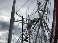 Kapal pukat untuk dijual