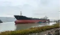 Pembawa pukal untuk jualan