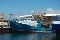 Trawler untuk jualan