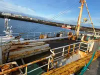 Pembawa pukal untuk jualan