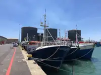 Longliner untuk jualan