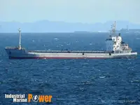 Pembawa pukal untuk jualan