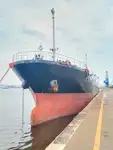 Pembawa pukal untuk jualan